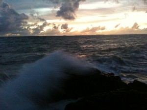 IMG_0386-ouf
