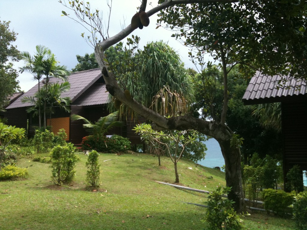 IMG_0407-PhiPhi-Natural-Resort