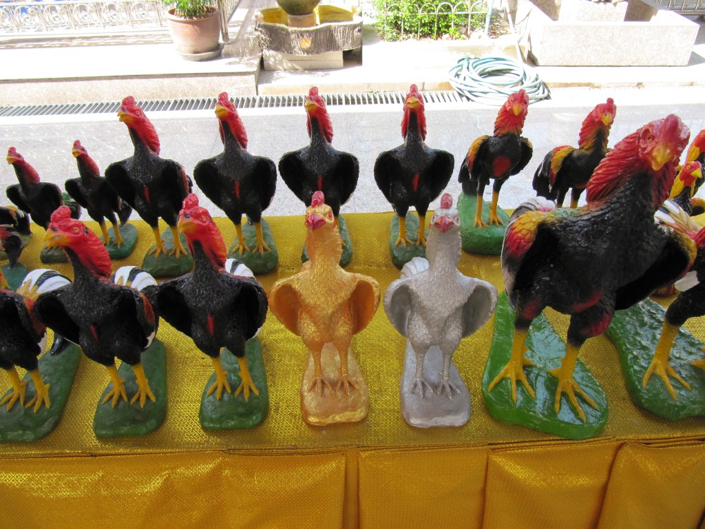 IMG_4698-DieuxPoules
